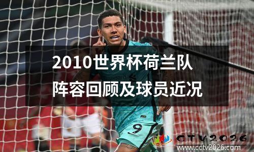 2010世界杯荷兰队阵容回顾及球员近况