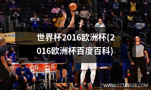 世界杯2016欧洲杯(2016欧洲杯百度百科)