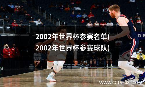 2002年世界杯参赛名单(2002年世界杯参赛球队)