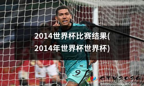 2014世界杯比赛结果(2014年世界杯世界杯)