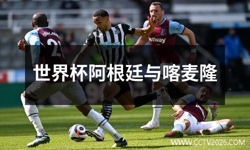 世界杯阿根廷与喀麦隆