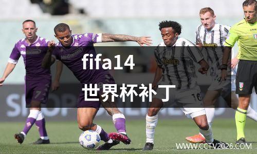 fifa14世界杯补丁