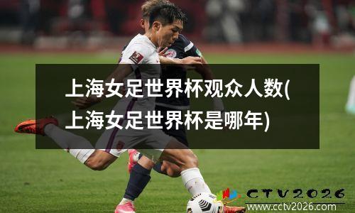 上海女足世界杯观众人数(上海女足世界杯是哪年)