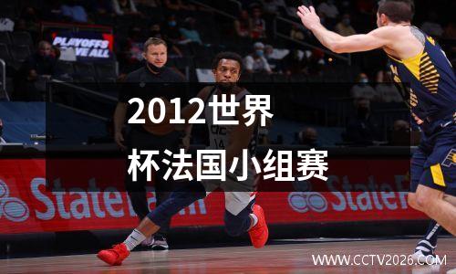 2012世界杯法国小组赛