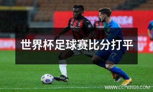 世界杯足球赛比分打平