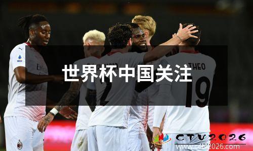 世界杯中国关注