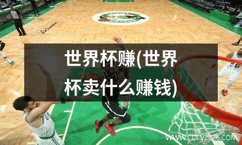 世界杯赚(世界杯卖什么赚钱)