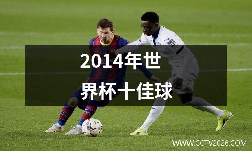 2014年世界杯十佳球