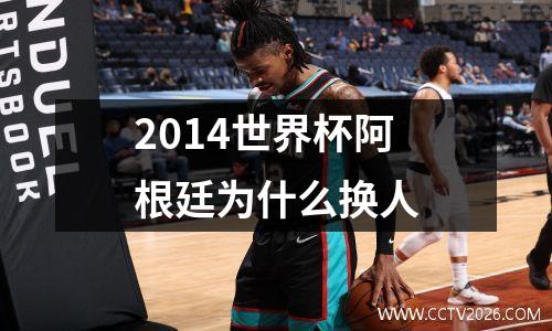 2014世界杯阿根廷为什么换人