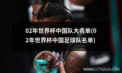 02年世界杯中国队大名单(02年世界杯中国足球队名单)