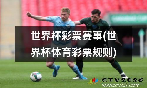 世界杯彩票赛事(世界杯体育彩票规则)