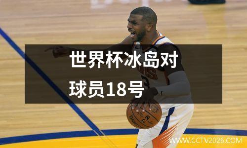 世界杯冰岛对球员18号
