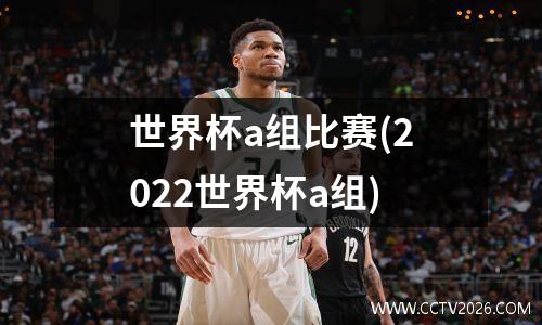 世界杯a组比赛(2022世界杯a组)