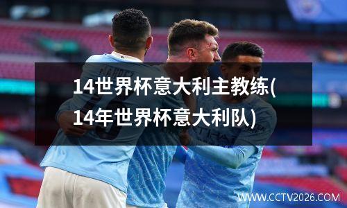 14世界杯意大利主教练(14年世界杯意大利队)