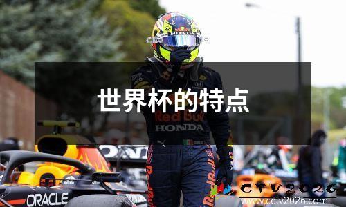 世界杯的特点