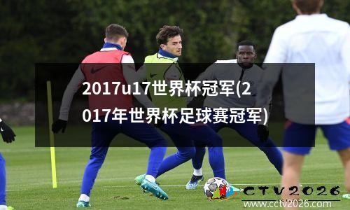 2017u17世界杯冠军(2017年世界杯足球赛冠军)