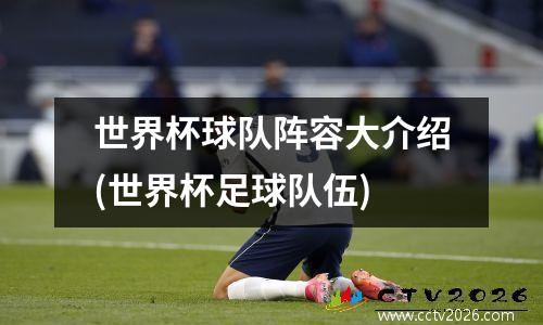 世界杯球队阵容大介绍(世界杯足球队伍)