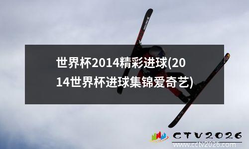 世界杯2014精彩进球(2014世界杯进球集锦爱奇艺)
