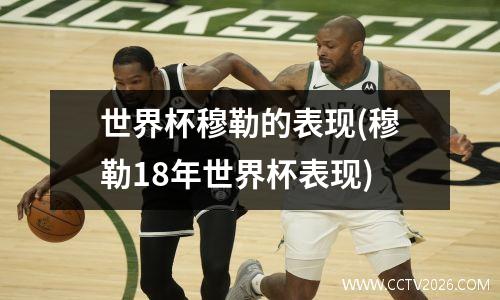 世界杯穆勒的表现(穆勒18年世界杯表现)