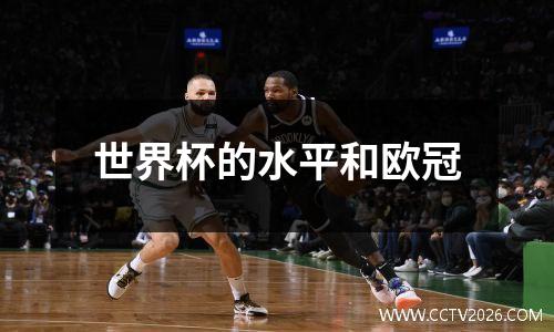 世界杯的水平和欧冠