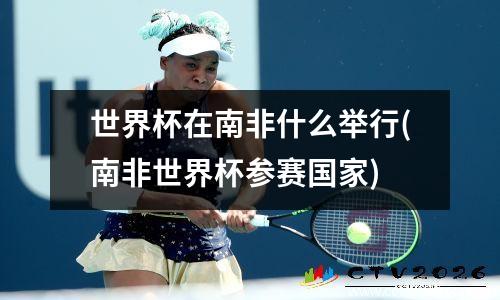 世界杯在南非什么举行(南非世界杯参赛国家)