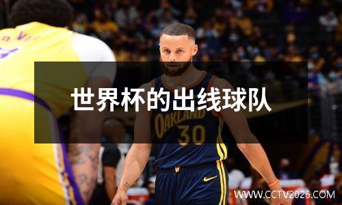 世界杯的出线球队