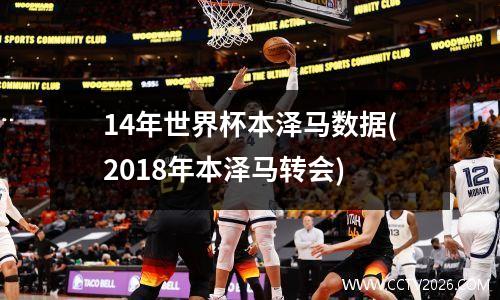 14年世界杯本泽马数据(2018年本泽马转会)