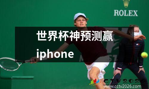 世界杯神预测赢iphone