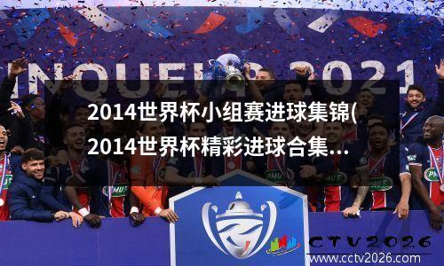 2014世界杯小组赛进球集锦(2014世界杯精彩进球合集)
