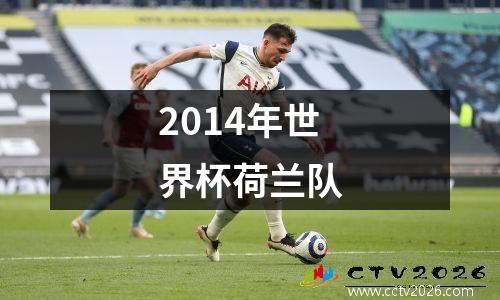 2014年世界杯荷兰队