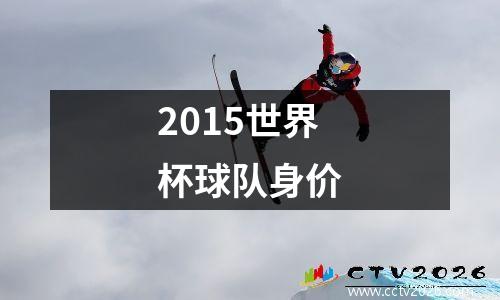 2015世界杯球队身价