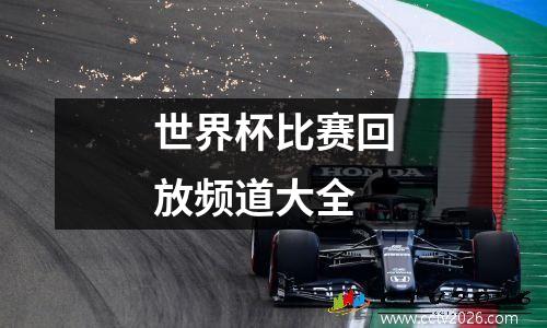 世界杯比赛回放频道大全