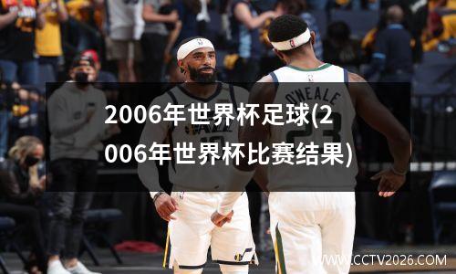 2006年世界杯足球(2006年世界杯比赛结果)