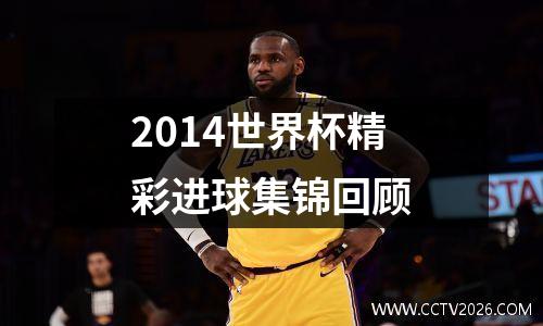 2014世界杯精彩进球集锦回顾
