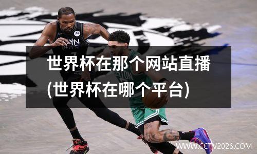 世界杯在那个网站直播(世界杯在哪个平台)