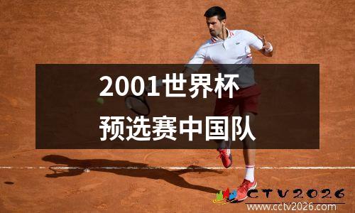 2001世界杯预选赛中国队