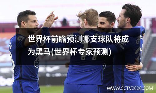 世界杯前瞻预测哪支球队将成为黑马(世界杯专家预测)