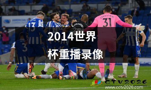 2014世界杯重播录像