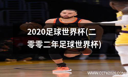 2020足球世界杯(二零零二年足球世界杯)