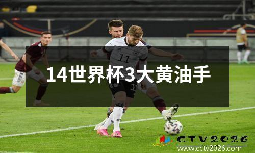 14世界杯3大黄油手