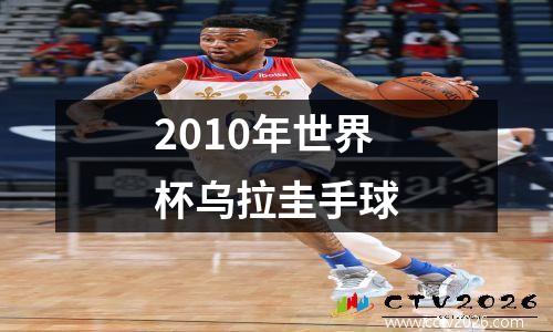 2010年世界杯乌拉圭手球