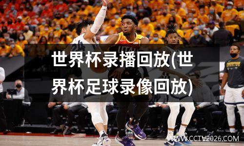 世界杯录播回放(世界杯足球录像回放)