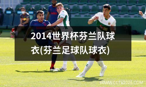 2014世界杯芬兰队球衣(芬兰足球队球衣)