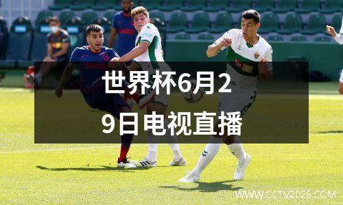 世界杯6月29日电视直播