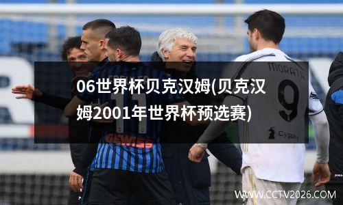 06世界杯贝克汉姆(贝克汉姆2001年世界杯预选赛)