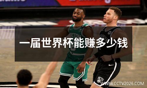 一届世界杯能赚多少钱