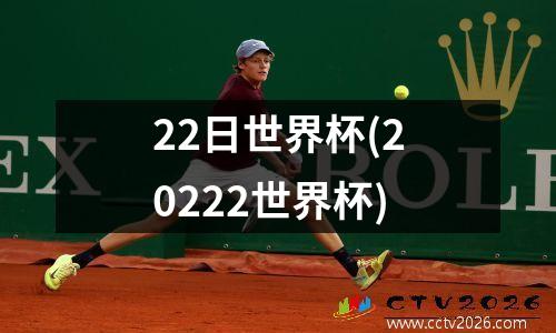 22日世界杯(20222世界杯)