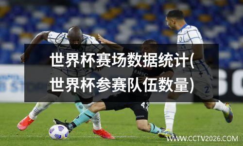世界杯赛场数据统计(世界杯参赛队伍数量)