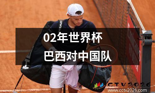 02年世界杯巴西对中国队