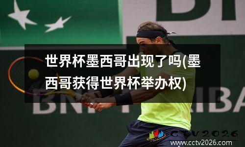 世界杯墨西哥出现了吗(墨西哥获得世界杯举办权)